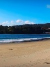 Anallanes