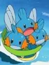 Mudkip