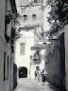 antbariba
