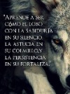 Loba_17