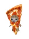 Nicksumi
