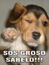 BaruchSpinoza